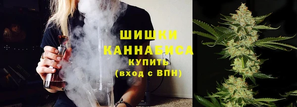 индика Медногорск