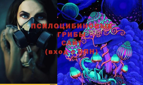 индика Медногорск