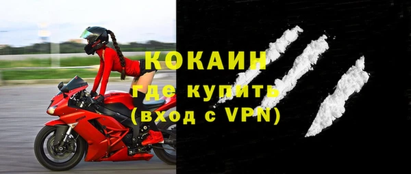 прущие грибы Михайловка