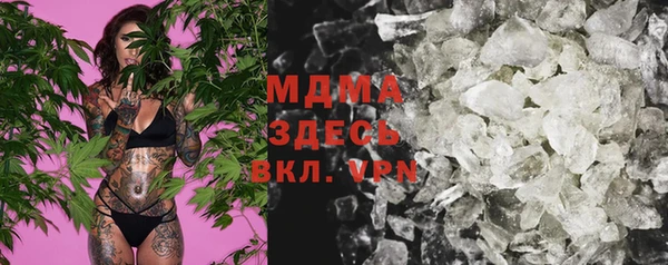 прущие грибы Михайловка