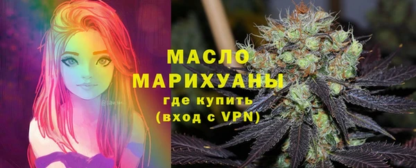 индика Медногорск
