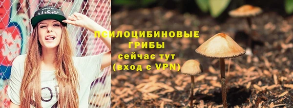 индика Медногорск