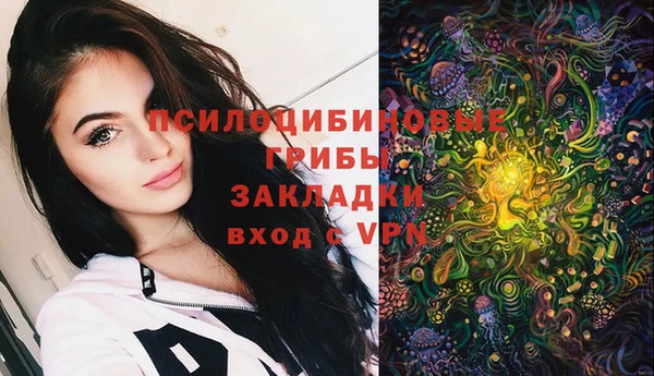 индика Медногорск