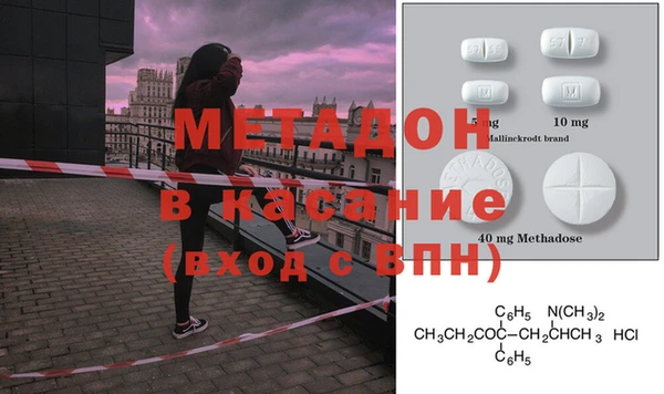 прущие грибы Михайловка