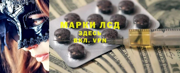 индика Медногорск