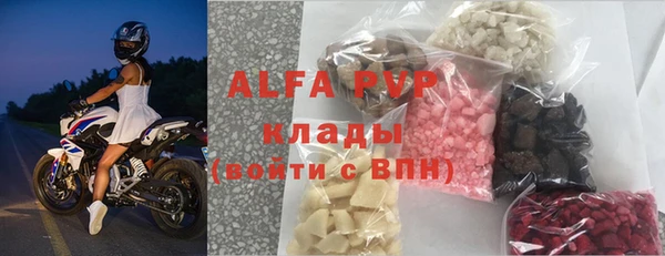 индика Медногорск