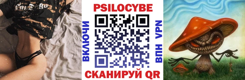 Галлюциногенные грибы Cubensis mega tor Петровск-Забайкальский